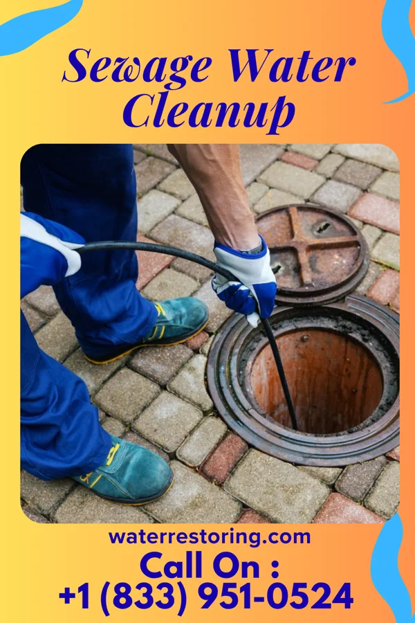 Sewage Water Cleanup in Hilshire Village, TX